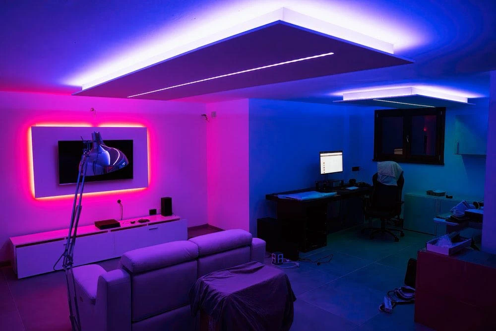 Entertainment Room - Elegant Builders